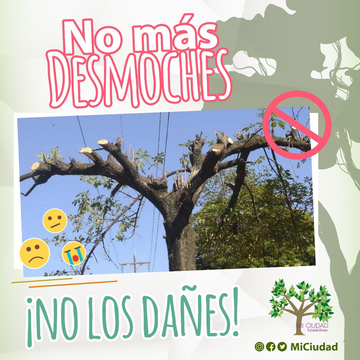 Cuida los árboles de tu ciudad. 
Nuestro clima y nuestra vegetación son lo que nos hace una ciudad especial.  No acabemos con eso! #Cuernavaca #MiCiudad #EternaPrimavera #HacemosComunidad