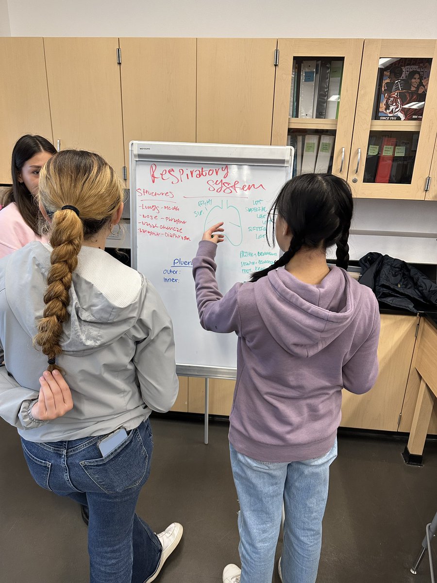 hellomsyang's tweet photo. A&P students @ChaffeyHSTigers studying for our exam using #braindumps How do you study? #TCELL #studyskills https://t.co/m0LqAGSbGb