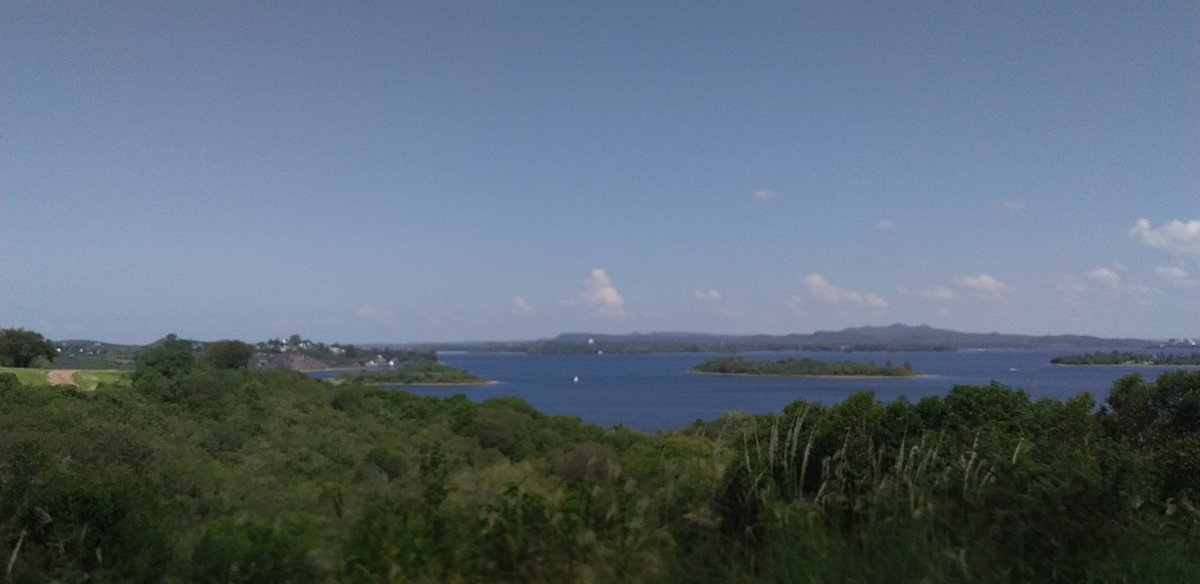 Shiaaa 👩🇦🇷 tweet media