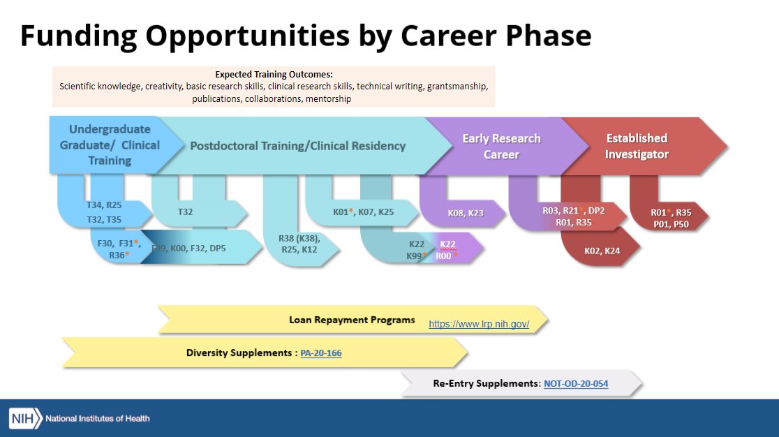 ICYMI: Have you checked out our Funding opportunity graphic that's organized by career phase? 💻🔬💰🔍📊📝 #AcademicTwitter #ecrchat #NIH researchtraining.nih.gov