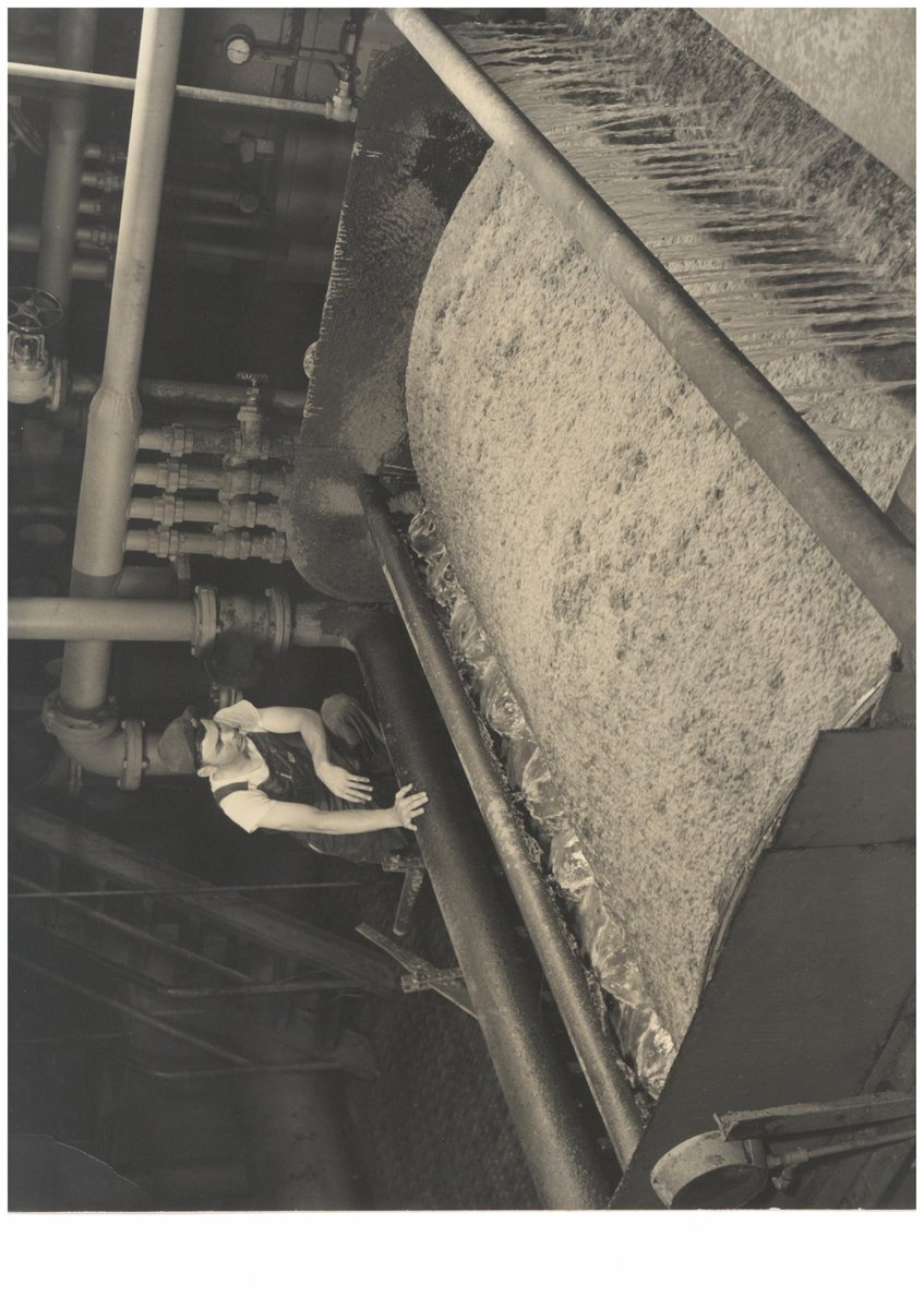 IntlPaperCo's tweet image. Happy Friday! In 2023, International Paper is 125 years young, and we're looking forward to what's next. Last Photo: our Orange Mill team members are #ProudToBeIP !