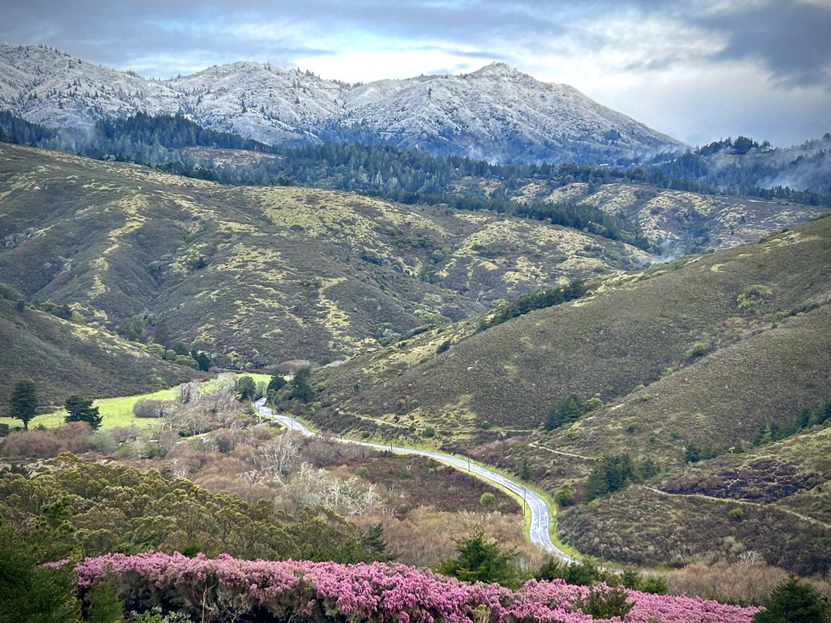 marinij's tweet photo. Reader Brad Eigsti's view of #MarinSnow from above Muir Beach looks east, back toward Mt. Tam. https://t.co/qYLQY2pbi7