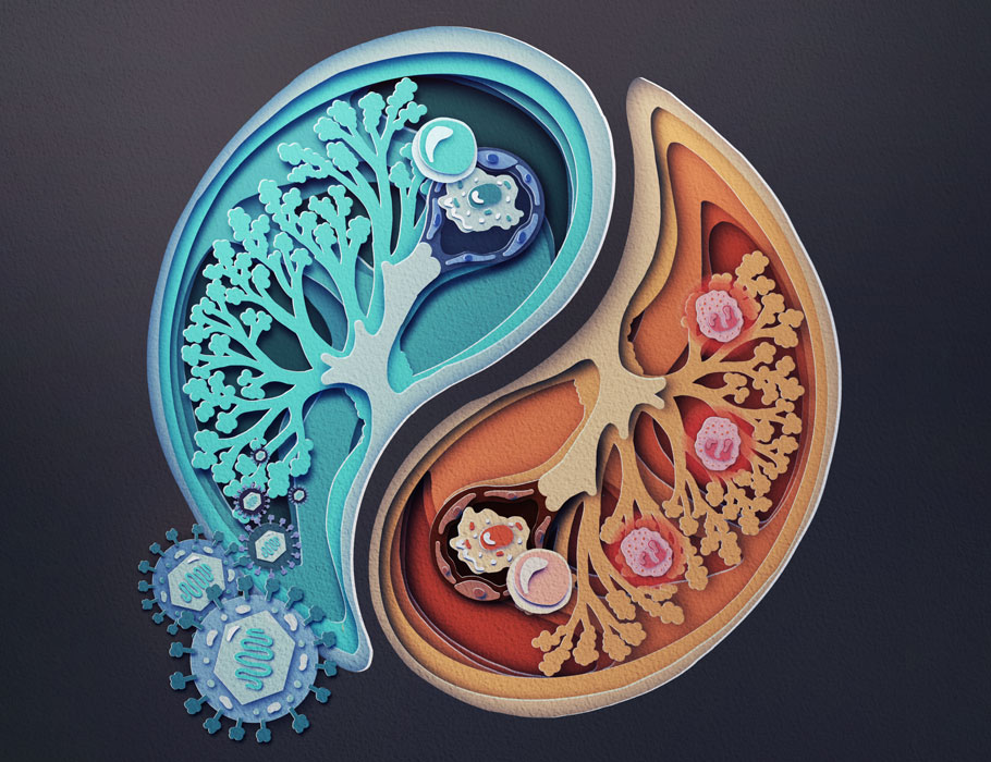Science Immunology (@sciimmunology) on Twitter photo Prior gammaherpesvirus infection can limit allergic airway inflammation by reprogramming lung group 2 innate lymphoid cells (ILC2s), finds new work in mouse models. <a href="/UniversiteLiege/">Université de Liège</a>
📄: scim.ag/1G7 Prior gammaherpesvirus infection can limit allergic airway inflammation by reprogramming lung group 2 innate lymphoid cells (ILC2s), finds new work in mouse models. <a href="/UniversiteLiege/">Université de Liège</a>
📄: scim.ag/1G7