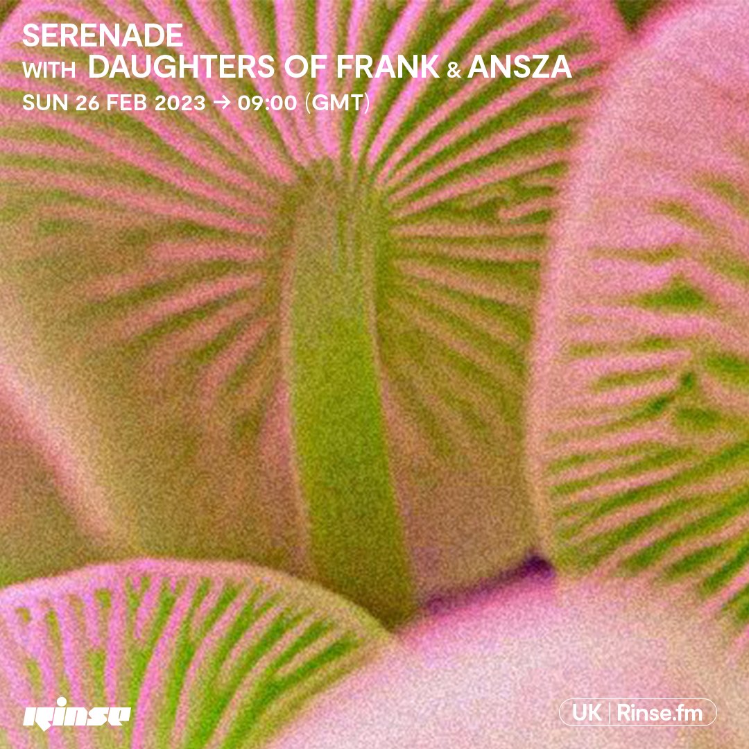 RinseFM's tweet photo. Live it's #Serenade with #DaughtersOfFrank on https://t.co/6hLtrLYXyq + 106.8FM
#RinseFM https://t.co/DUobzvWsVZ