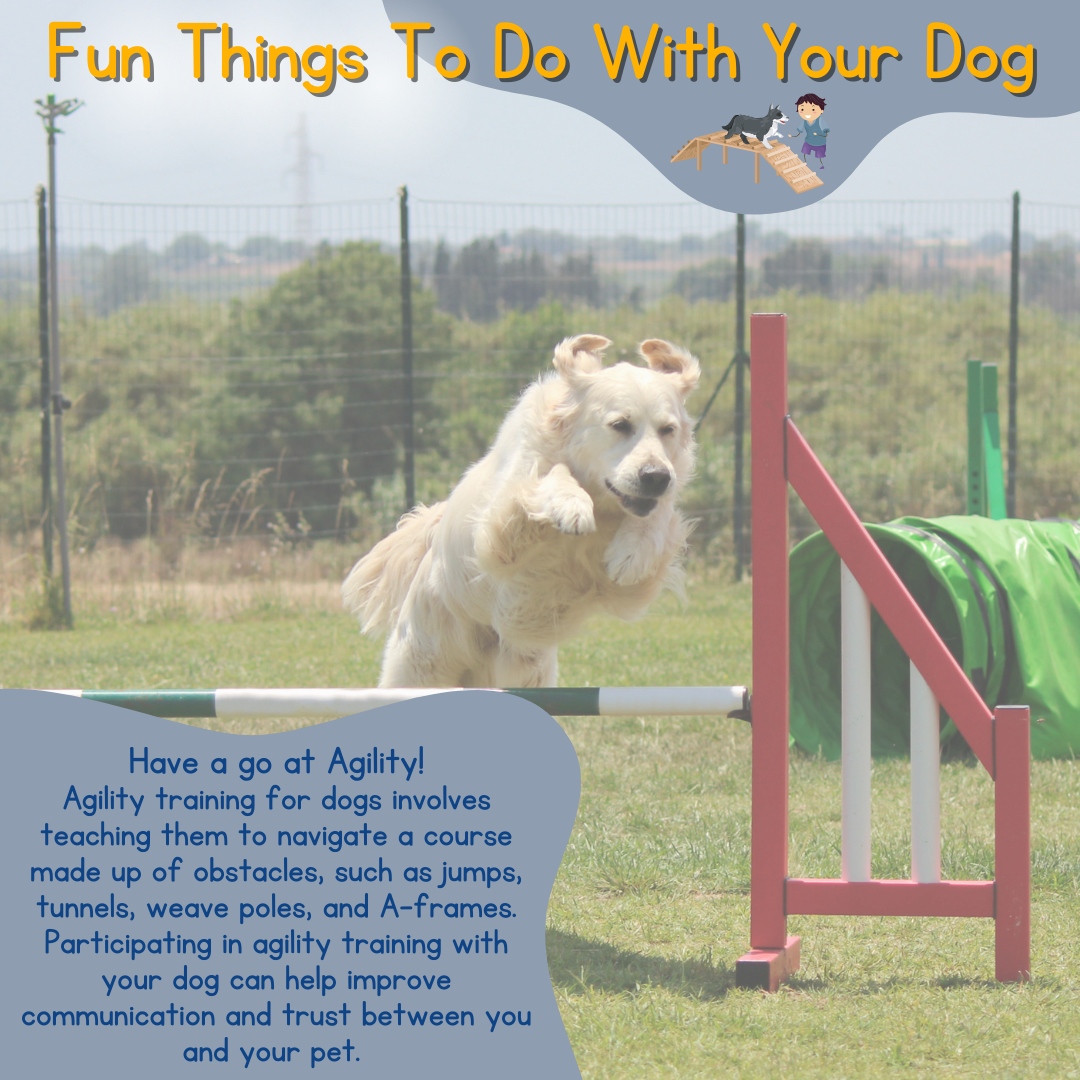 Fun things to do with your dog 

#2 Have a go at agility 

#love #instagood #schooldog #animaltherapy #picoftheday #dogs #professionals #counsellors #educators #therapist #therapy #neurodivergence #sen #school