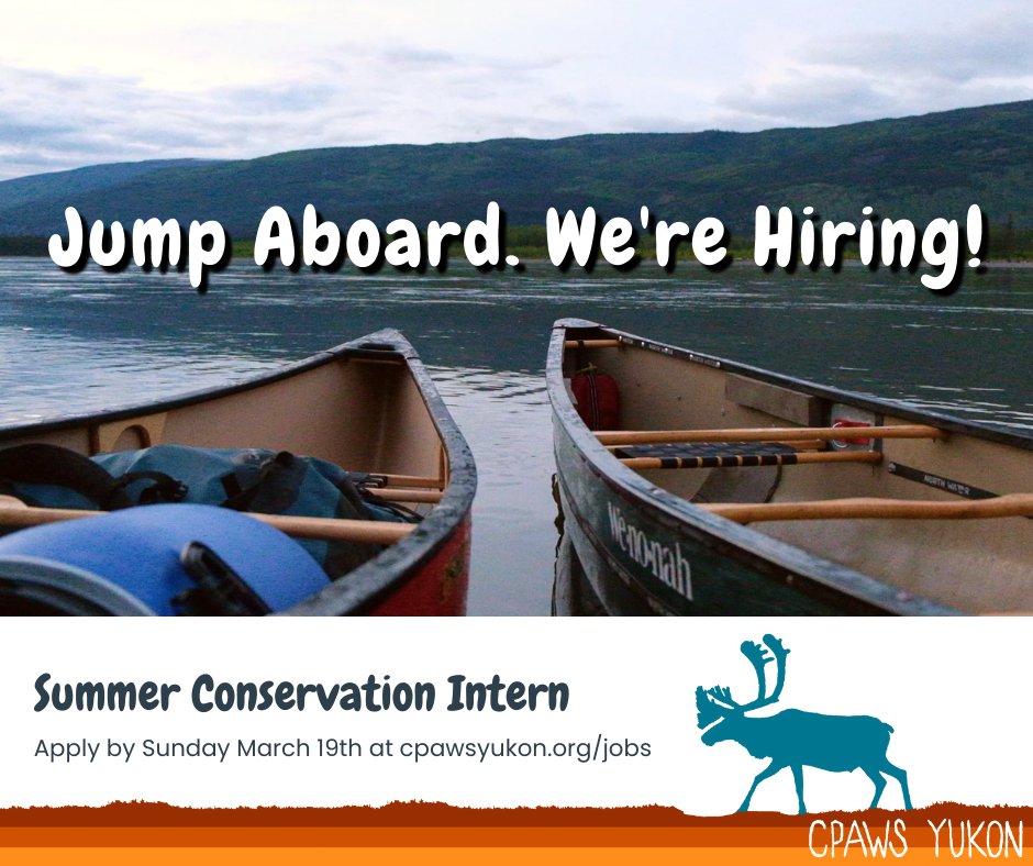 CPAWSYukon's tweet photo. We're hiring a Conservation Intern ☀️ Join us for a summer at #CPAWS supporting conservation outreach, participating in our campaigns, & developing a project of your choice! #Yukon
Apply by Sun March 19th at https://t.co/RYuANunEH2
$19/hour for up to 16 weeks
#ConservationJobs https://t.co/RHbVKgyNsT