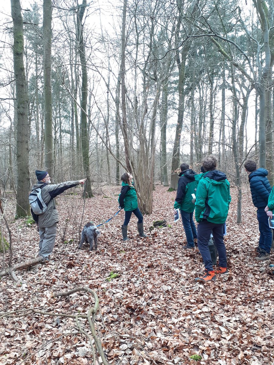 Janetalkstrees's tweet image. It was really encouraging ending the week gathering relatively new entrants to the Forestry sector, in a Hampshire woodland (of course!) to consider the key questions of woodland management. Thanks to Prof Julian Evans, hosting us with good questions, stories and flapjack!