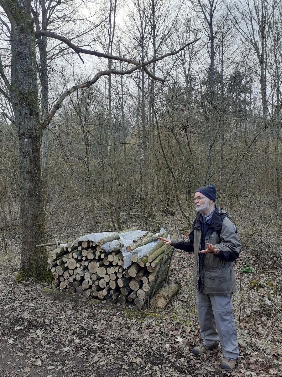Janetalkstrees's tweet image. It was really encouraging ending the week gathering relatively new entrants to the Forestry sector, in a Hampshire woodland (of course!) to consider the key questions of woodland management. Thanks to Prof Julian Evans, hosting us with good questions, stories and flapjack!