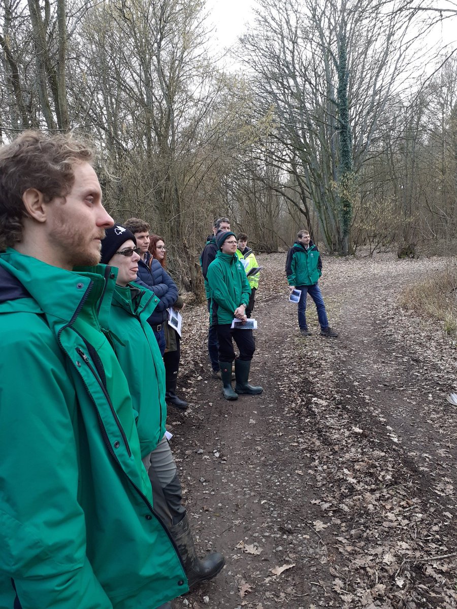 Janetalkstrees's tweet image. It was really encouraging ending the week gathering relatively new entrants to the Forestry sector, in a Hampshire woodland (of course!) to consider the key questions of woodland management. Thanks to Prof Julian Evans, hosting us with good questions, stories and flapjack!