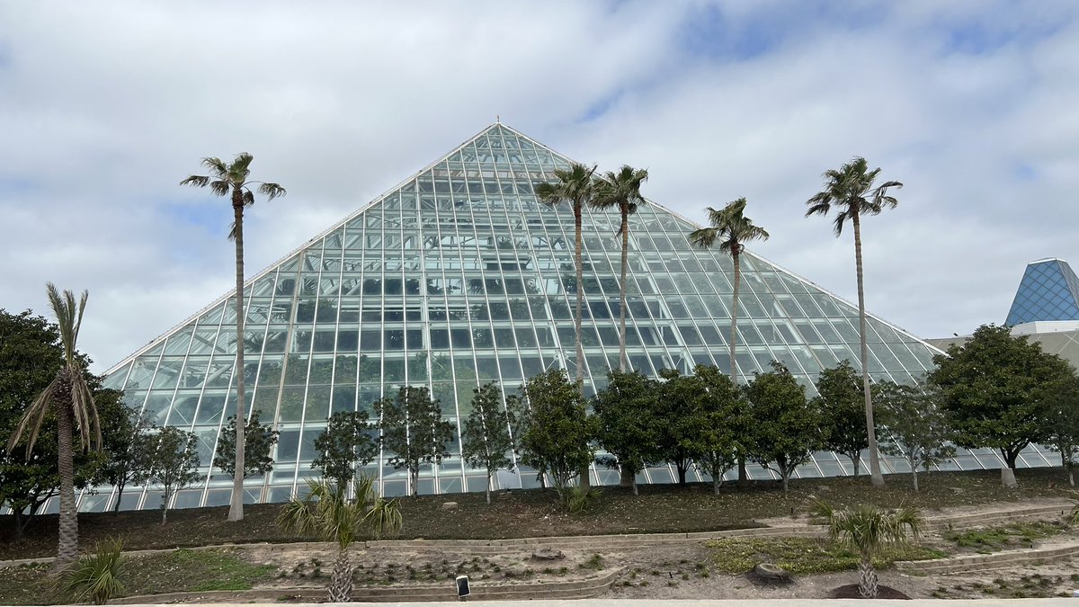 ℬ𝓇𝒶𝓃𝒹𝓎 𝒥ℴ𝓃ℯ𝓈 tweet media