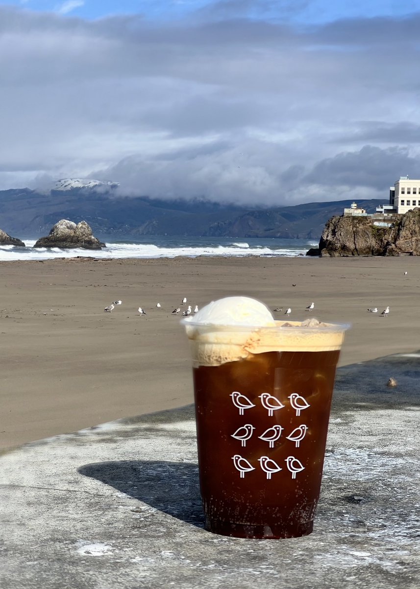 Snowy Marin Headlands and a Snowy Plover.

📷: Depth of field composite photo taken on 2/24/23 from the Ocean Beach, SF, just accross the street from our Outer Richmond cafe.
