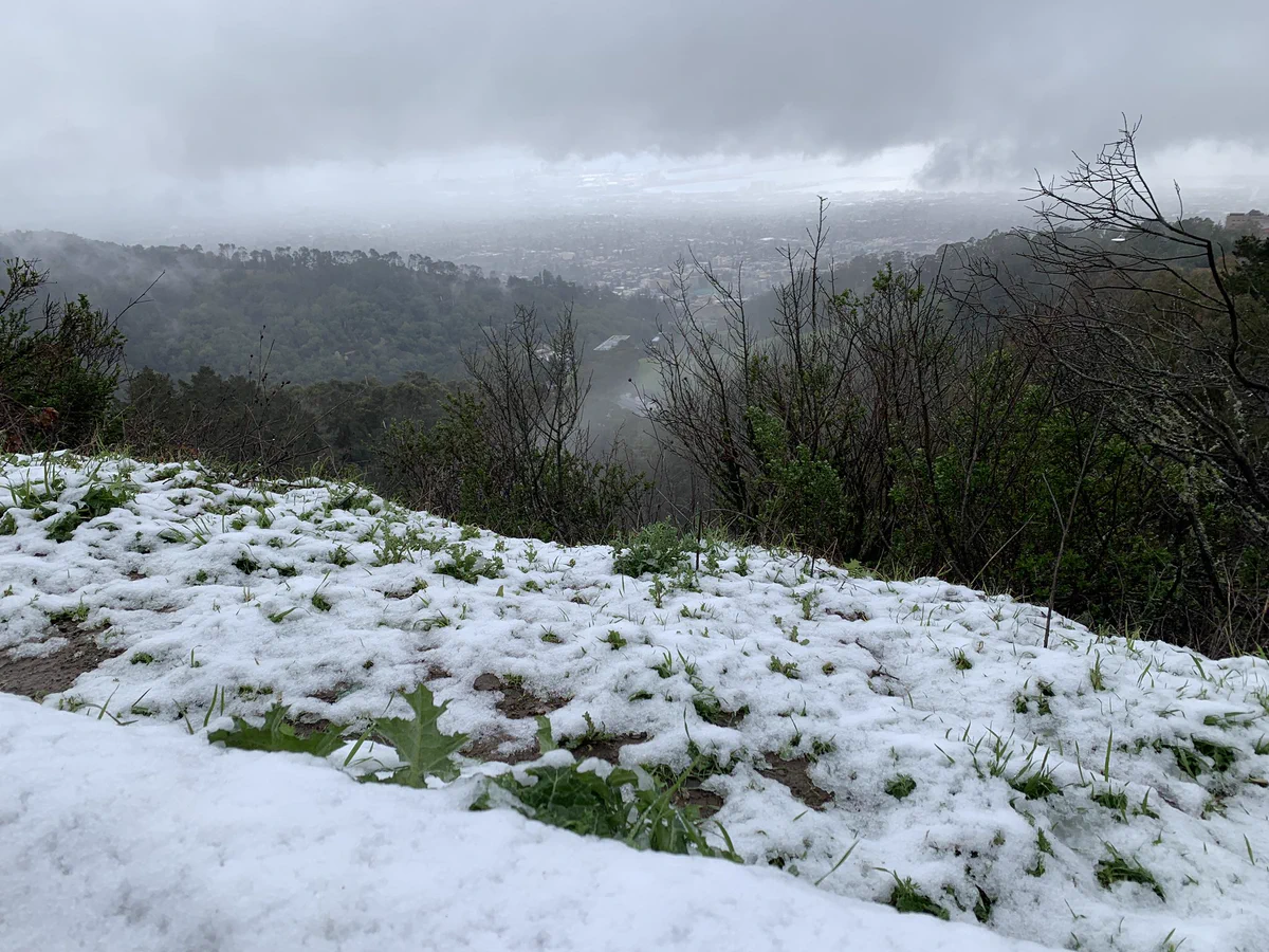 Snow in Berkeley!