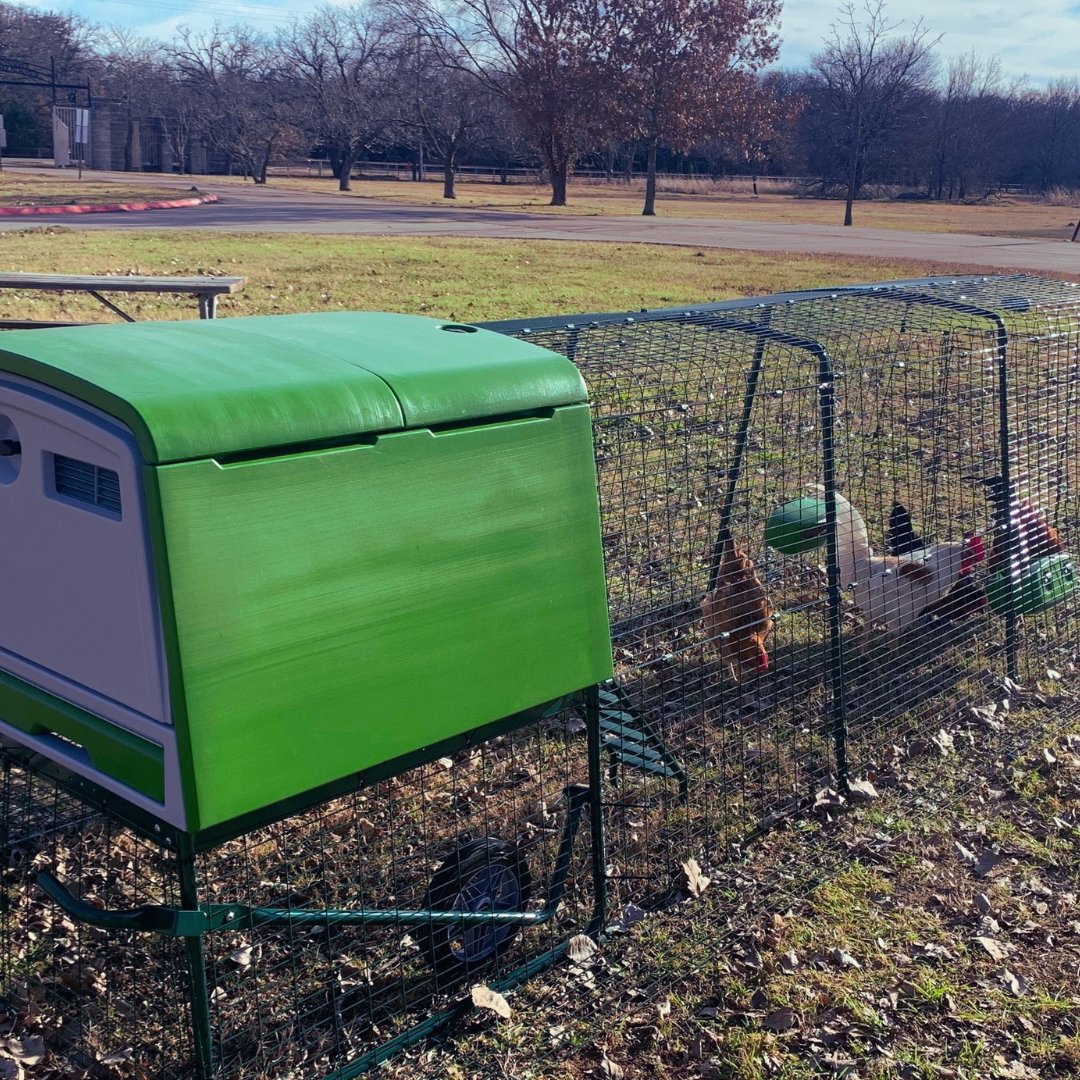 texasyesproject's tweet photo. Look at those coops! π @disdeec is our STEAM grant recipient spotlight this month! They received $7,600 in funding from the TEXAS YES @tjhlaw #STEAM grant for new #chickencoops.
We love seeing the impact our grants make within the community! https://t.co/5EISCjWJLI