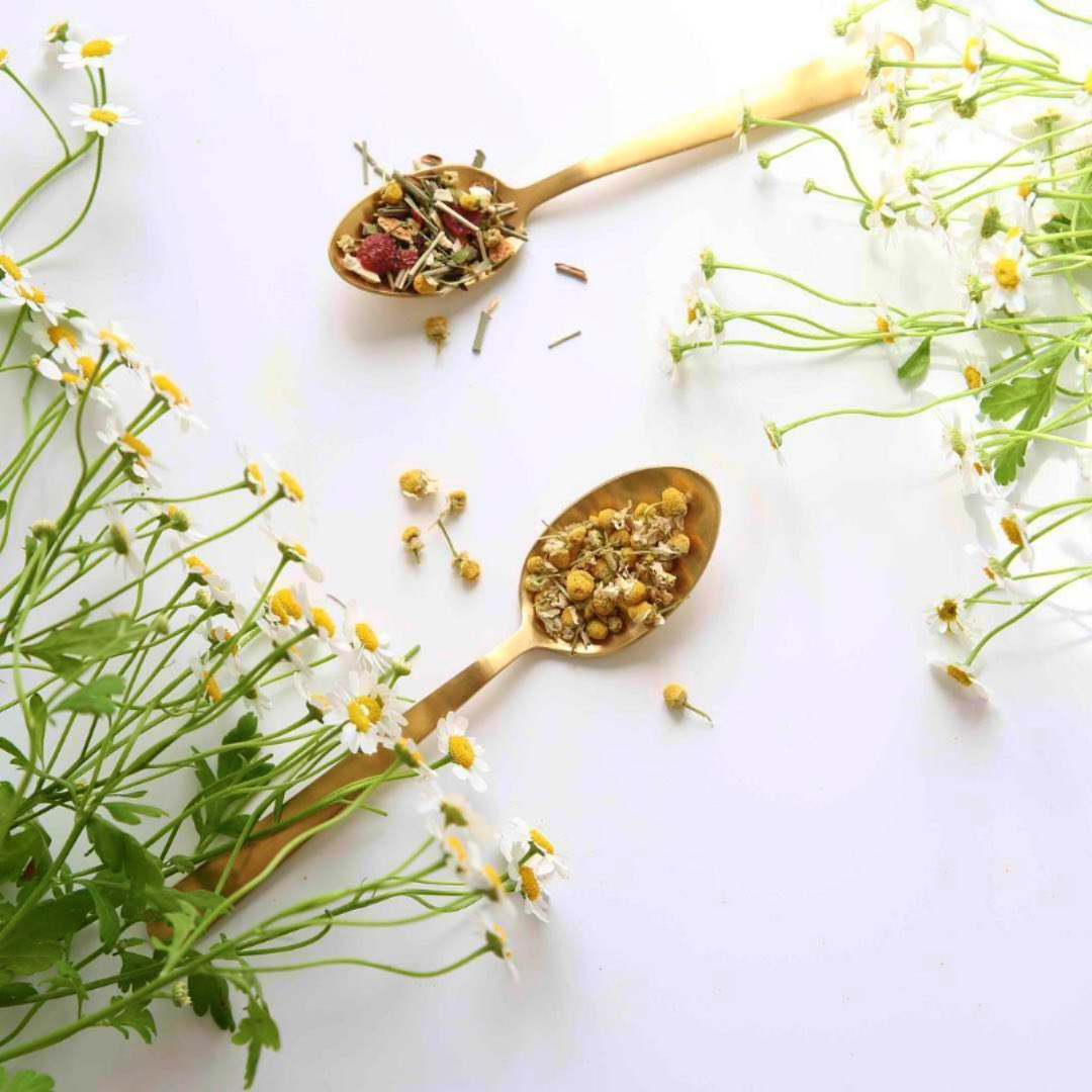 VertusIndia's tweet photo. Sip your way to serenity with a soothing cup of chamomile green tea ๐ตโจ #TeaTime #RelaxationGoals #vertustea https://t.co/ujnGuIFATm