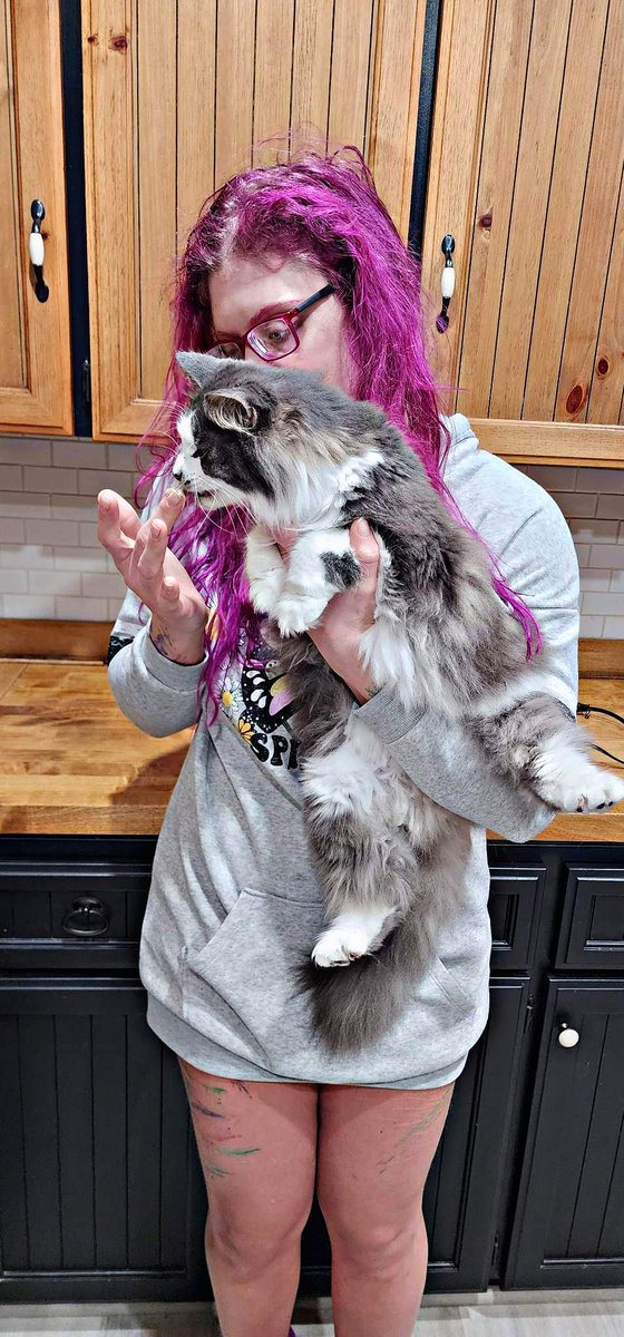 Pompeii had all of his lower teeth removed due to severe de tal disease. He's almost 2 yrs old, genes have a large part to play but make sure to routinely have pets teeth checked so it can be caught early <a href="/Cats/">Cats</a> <a href="/OfficerMorton/">Officer Morton</a> @RescueFluff