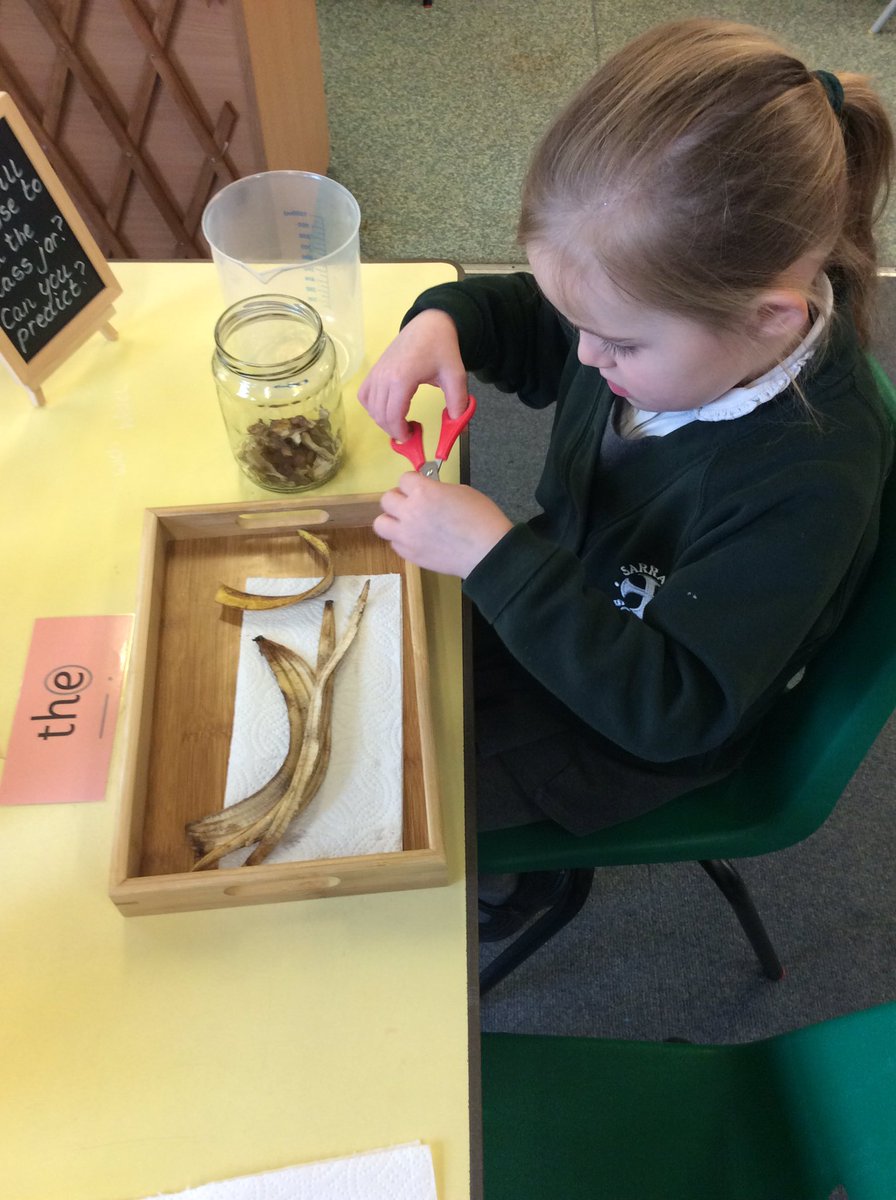 SarrattPrimary's tweet photo. Reception Scientists have been hard at work this week, observing, predicting and recording and recycled our banana peels by making a tea for our new veggie garden #understandingourworld https://t.co/LEt04EML1Q