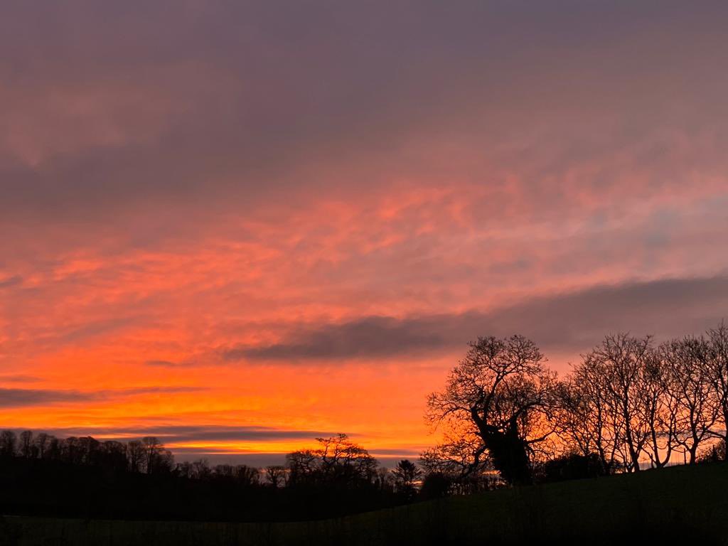 SharphamCheese's tweet image. Quite a sunrise this morning down at our dairy by the Dart #dartvalley #devon #devonviews #southdevon