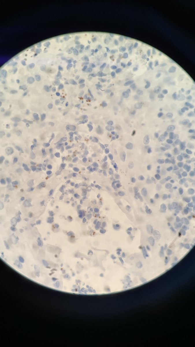 Van-Hung Nguyen MD 🇺🇦🌻 tweet media