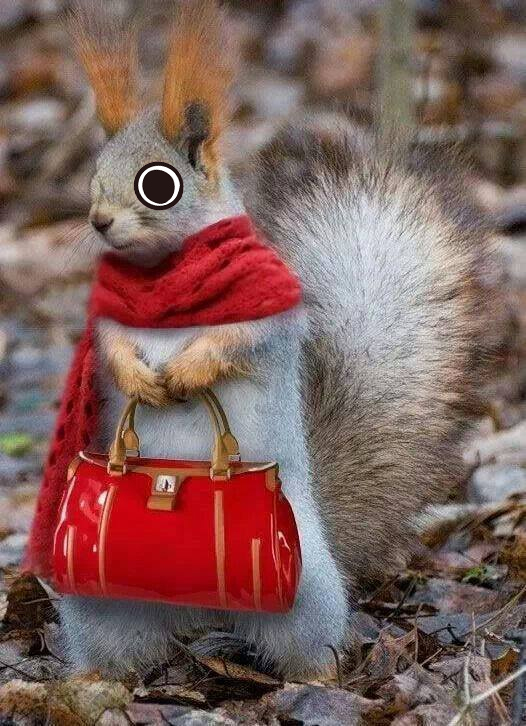 𝙒𝙚𝙚𝙠𝙚𝙣𝙙 𝙊𝙪𝙩𝙛𝙞𝙩 𝙄𝙙𝙚𝙖𝙨?🧣

Tell TT some dress codes among Earthlings 👔discord.gg/nfttt

#NFTs #cryptocurrency #NFTCommunity #NFTGiveaway #Web3 #cryptomarket #NFTcollections #web3community