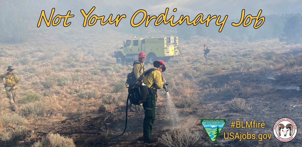 BLM Montana/Dakotas on Twitter "🔥FireJob🔥 It’s not too late! Apply