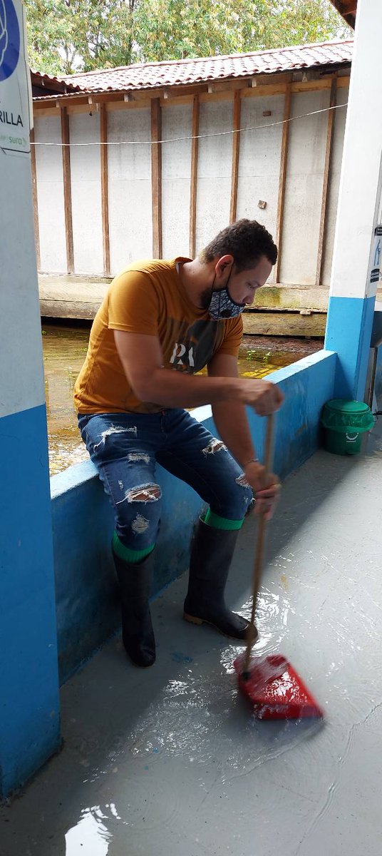 ElnoUribe's tweet photo. @FicoGutierrez Payaso hpta. Ese que muestra Petro está en mejores condiciones que el de San Bartolomé Murindó - ANTIOQUIA. De la que nos libramos, de caer en manos de otro hpta que pretende gobernar para los riquitos de este país, y dejar en el olvido hasta su propia tierra. bobo setenta hpta https://t.co/qj6nDg60bJ