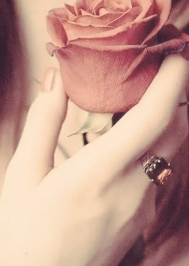 الزهرة لا تفكر في منافسة أحد .. هي تزهر فقط 🌹