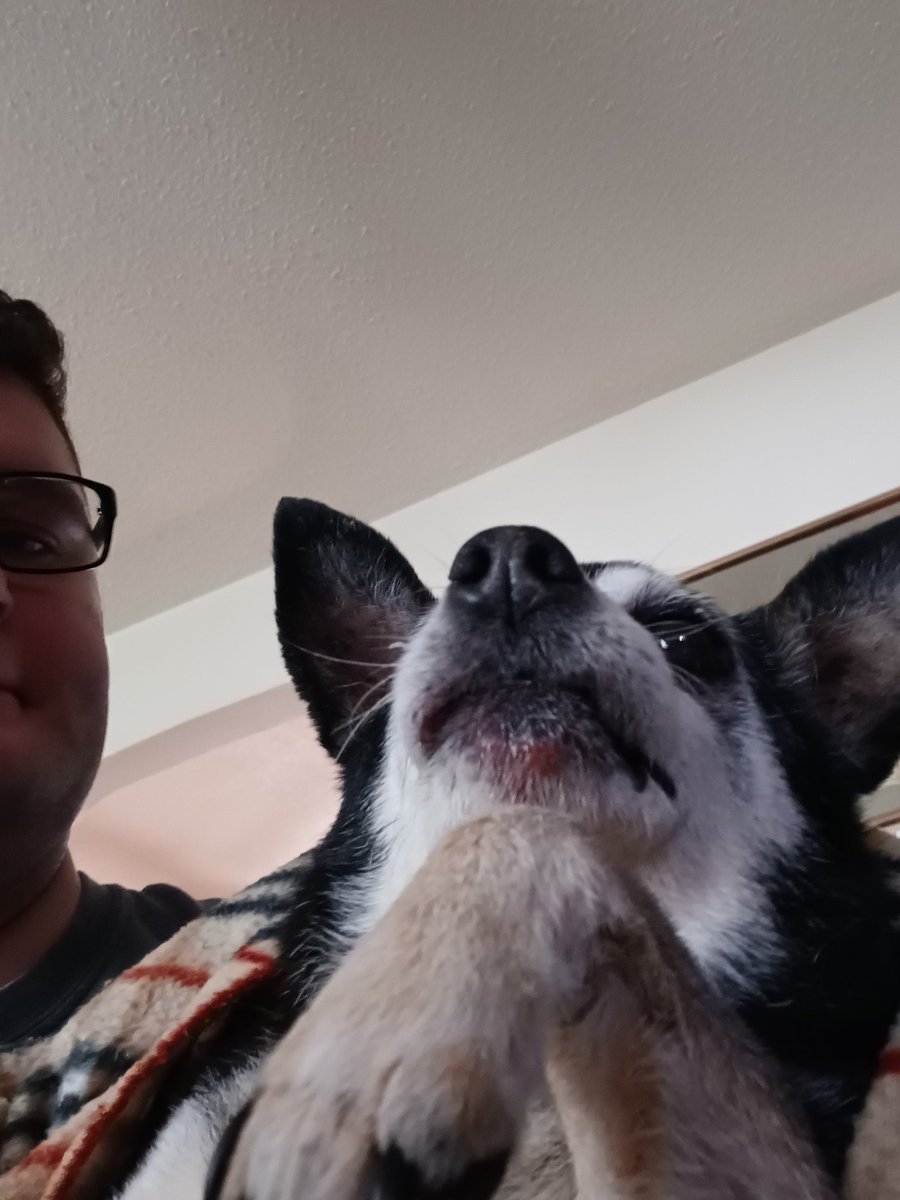 Ν Ξ Θ Ν on Twitter "RT 4th_Tomahawk RIP Jobe The vet examined him