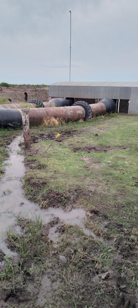 willybernaudo's tweet photo. Recorriendo riego, puertos, y producciones diversas en Norte de ER Sur de Crrtes.
Gracias Mariano Winograd por la organización y a todos los que nos recibieron en sus empresas.
Se viene en cambio para poner en marcha todo el potencial productivo de Entre Ríos ! https://t.co/gqvuyF0C6a