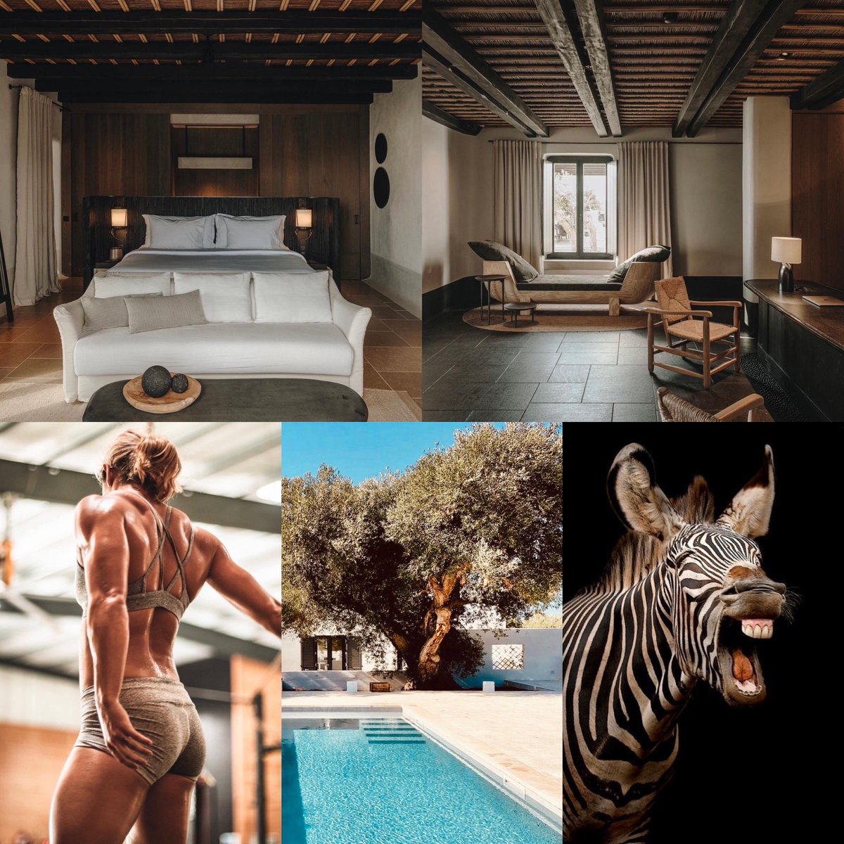 playerrealestat's tweet photo. Infused with Africa by @Marc_Player #playerdesign #design #home #homedecor #zebra #fit #woman #pool #black #white #style #infusedwithafrica #travel #safari #marcplayer #africa #landscape #architect https://t.co/Qre82WQAYX