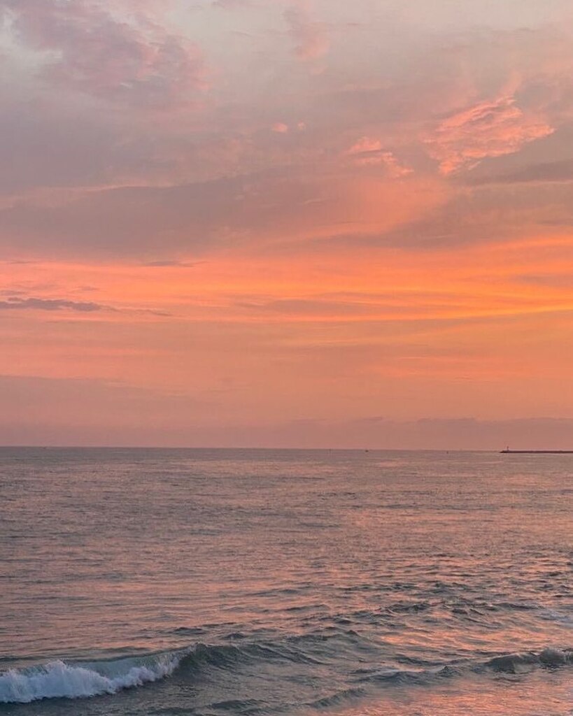 MalibuShirts's tweet photo. Aloha Friday! 🌅 https://t.co/axhVc2oGlo https://t.co/QrvJRqjBeW