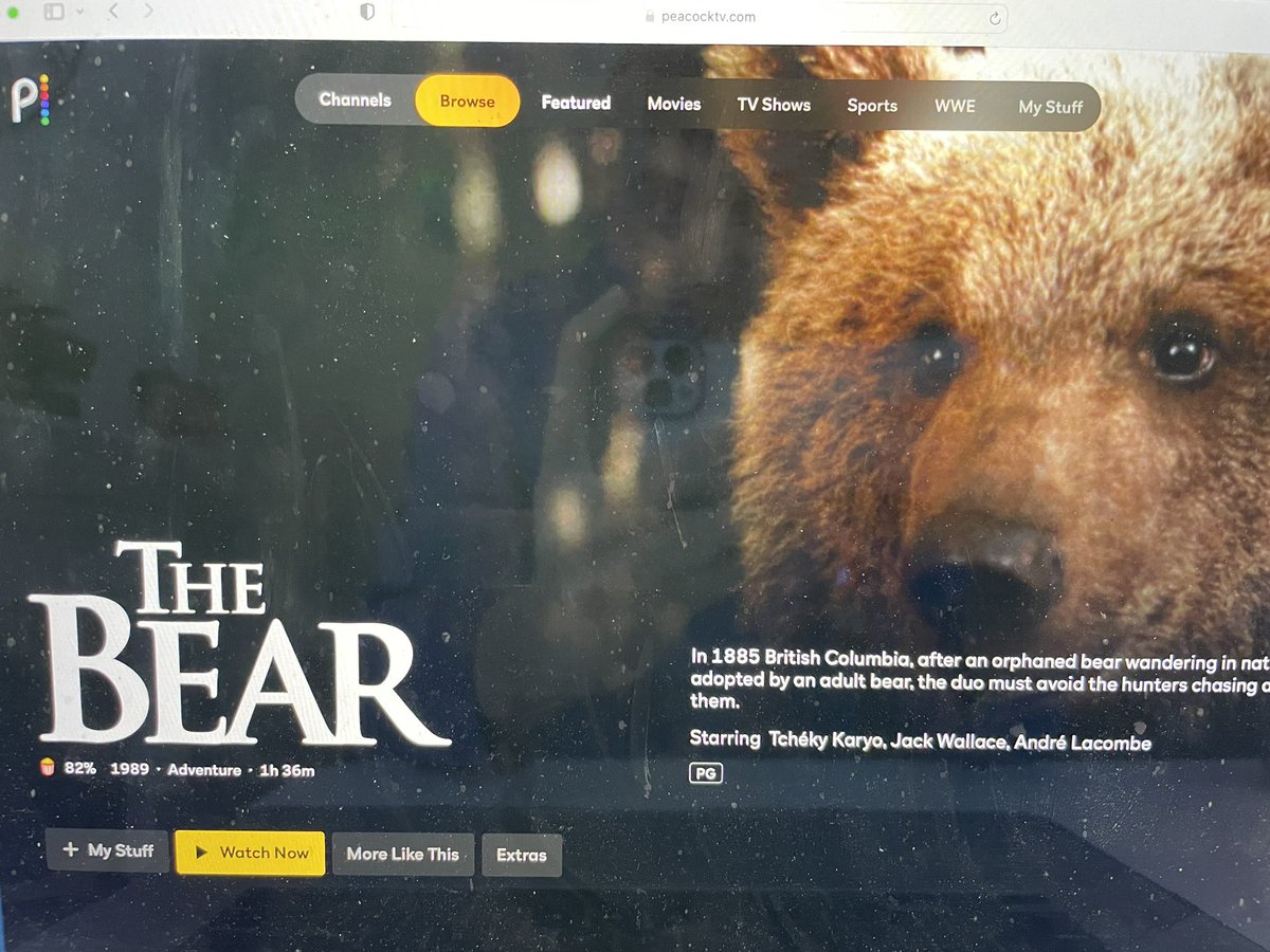 alec-behan-on-twitter-watching-the-bear-1988-on-peacock