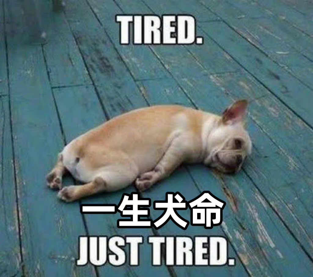 SamJsh4's tweet photo. 最近开车总是走神，闪回些学生时代的记忆片段。
那个时候的每张面孔都好年轻啊。
真好。 https://t.co/1SDcucuHKf
