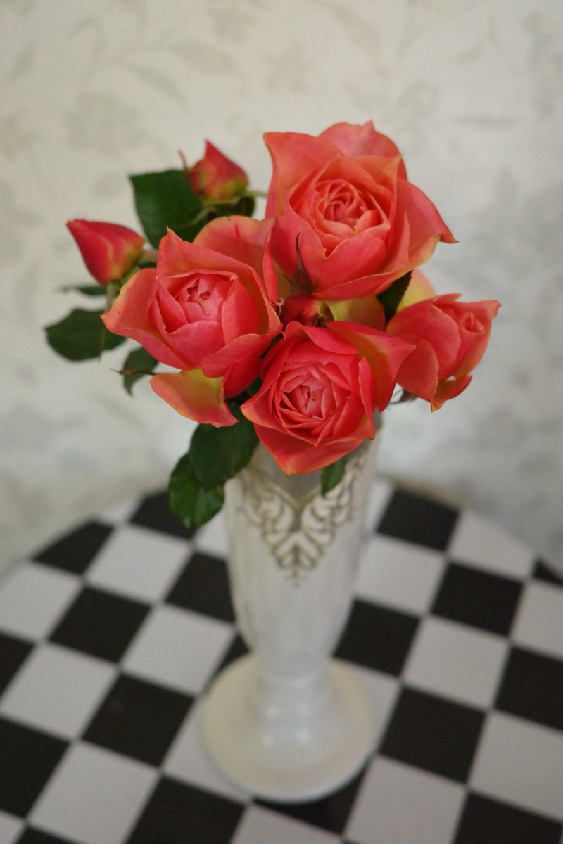 🌹🥃🐱

🎶　youtu.be/CU7Lcvu54HI