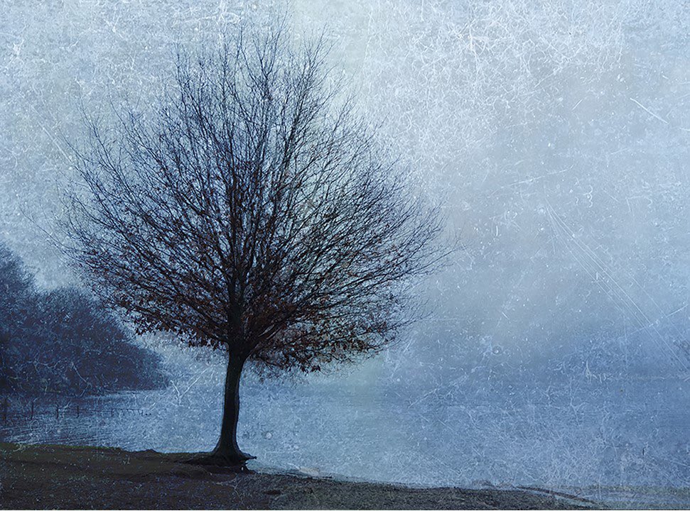 gwyn_price's tweet photo. @FujifilmUK Some multiple exposure trees. Sadly X-2 only takes two at a time 😕 #needtoupgrade https://t.co/ybbcqcP0PS