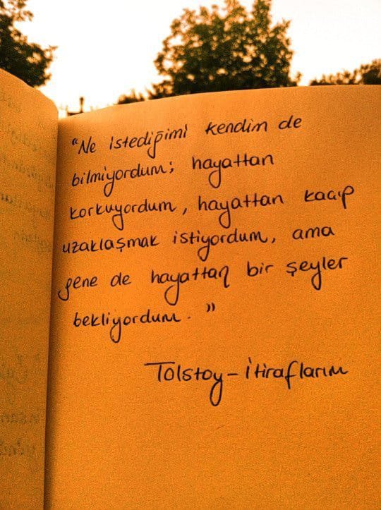 HVMHaber's tweet photo. Tolstoy hepimizin yerine itiraf ediyor.. https://t.co/vClFSgtUSz