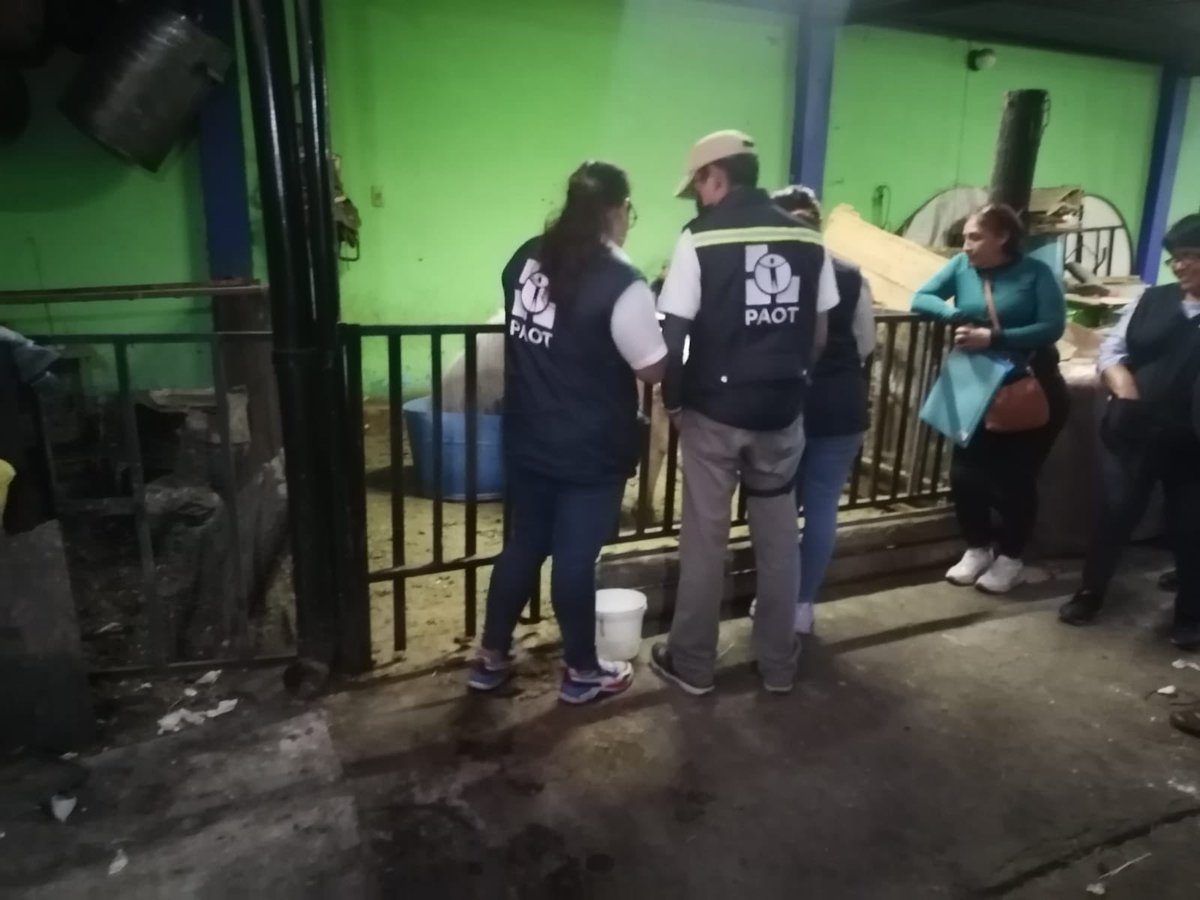 LetyVarela's tweet photo. Mil gracias! 
De verdad fueron como 4 horas para conseguir concientizar a estas personas, afortunadamente lo logramos incluso con el apoyo de @PAOTmx https://t.co/WFbEAOGRlj