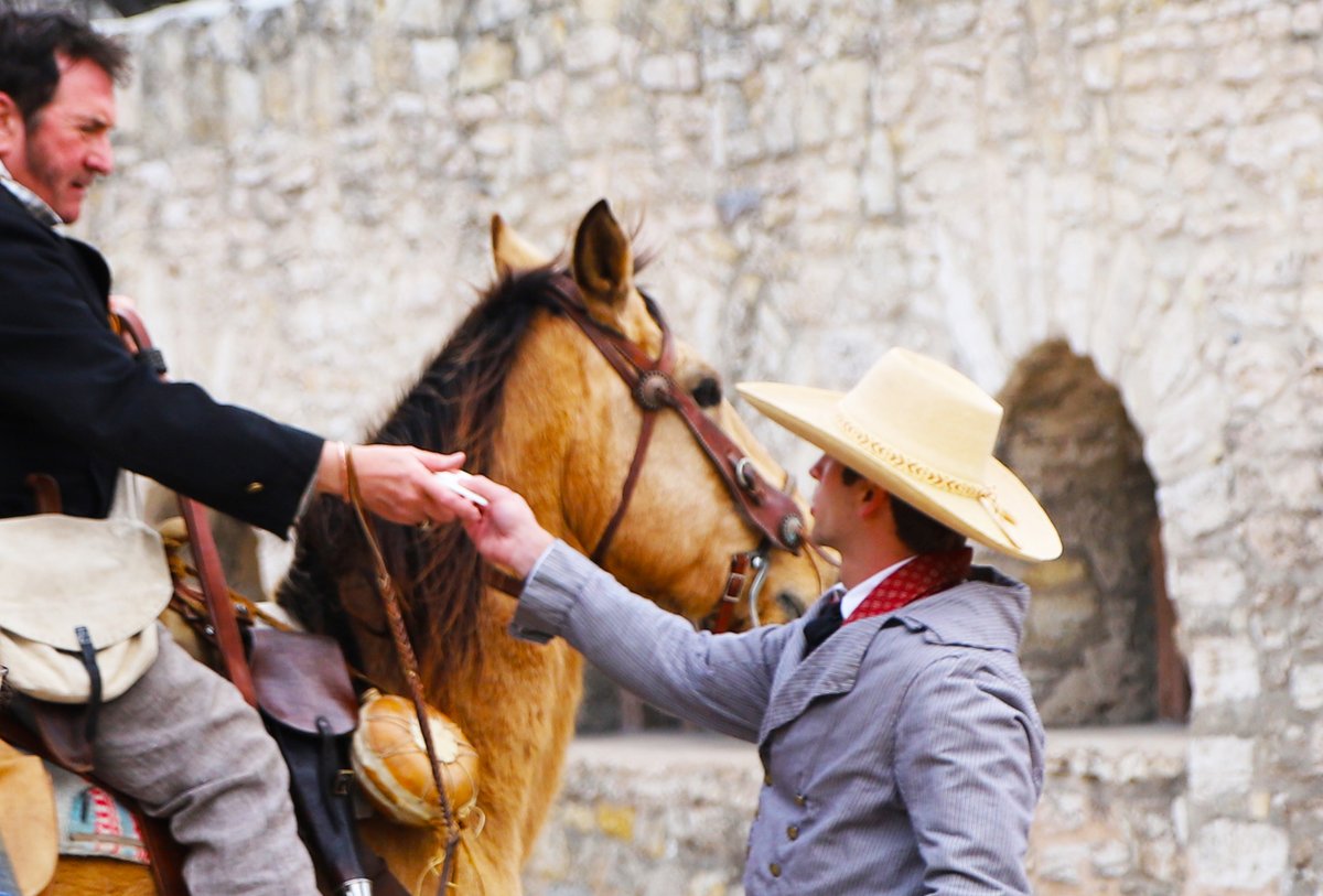 The Alamo tweet media