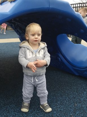 Kim Case tweet media