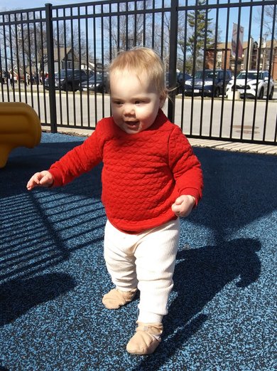 Kim Case tweet media