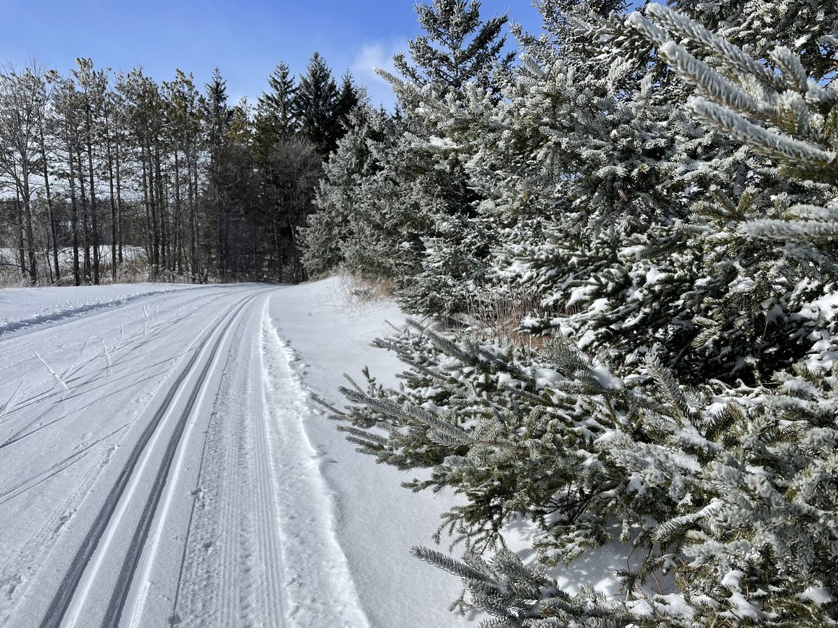 EleanorTy's tweet photo. @MonoNordic brilliant day today after the snow and ice storm. https://t.co/WLwxiXLnLR