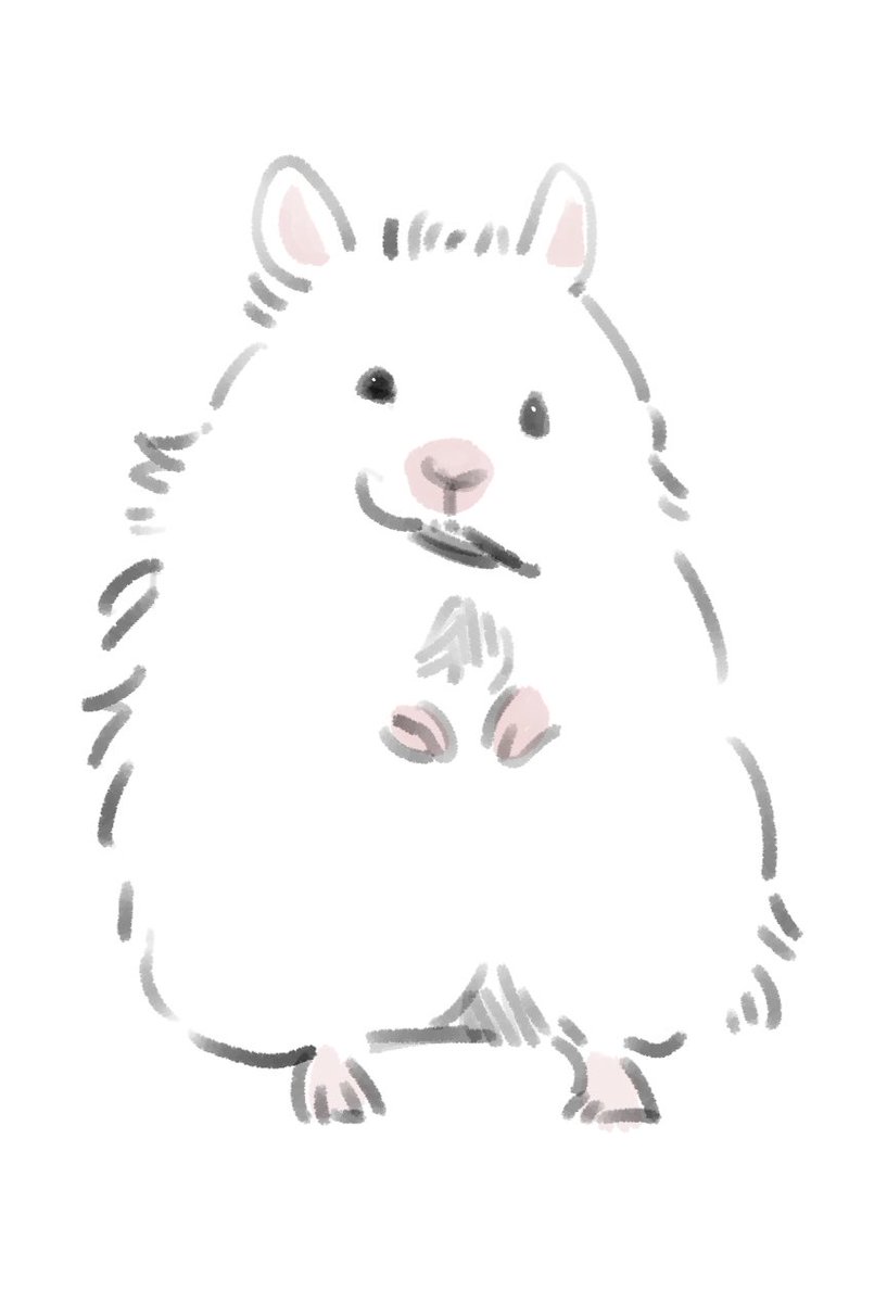 아무말없이 동물 그리는 계정🐹 (@haaammm201) on Twitter photo 