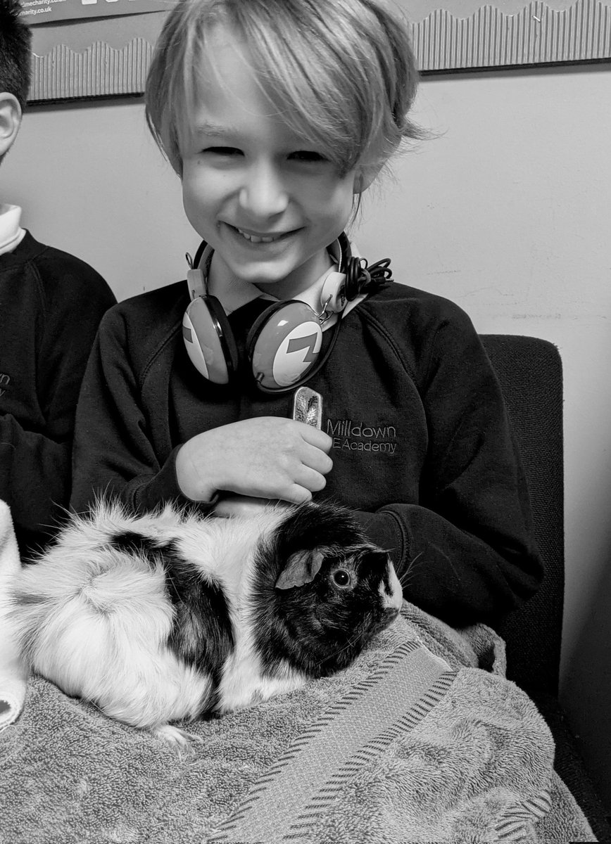 Milldown CE Academy 🌈 tweet media