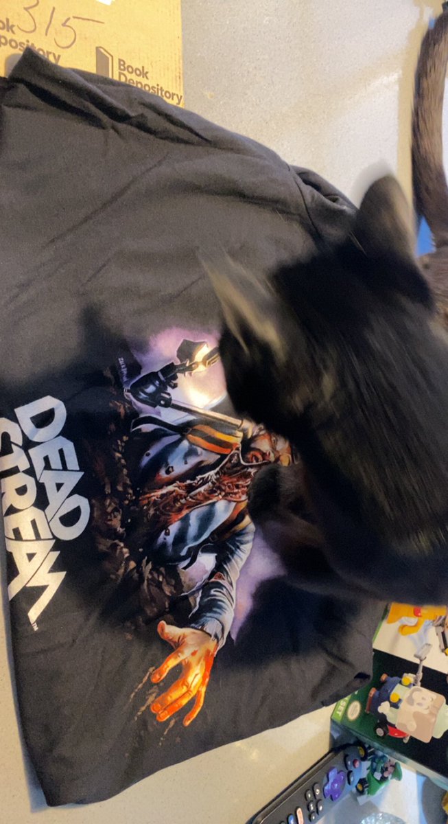 Dylan 🦝 tweet media