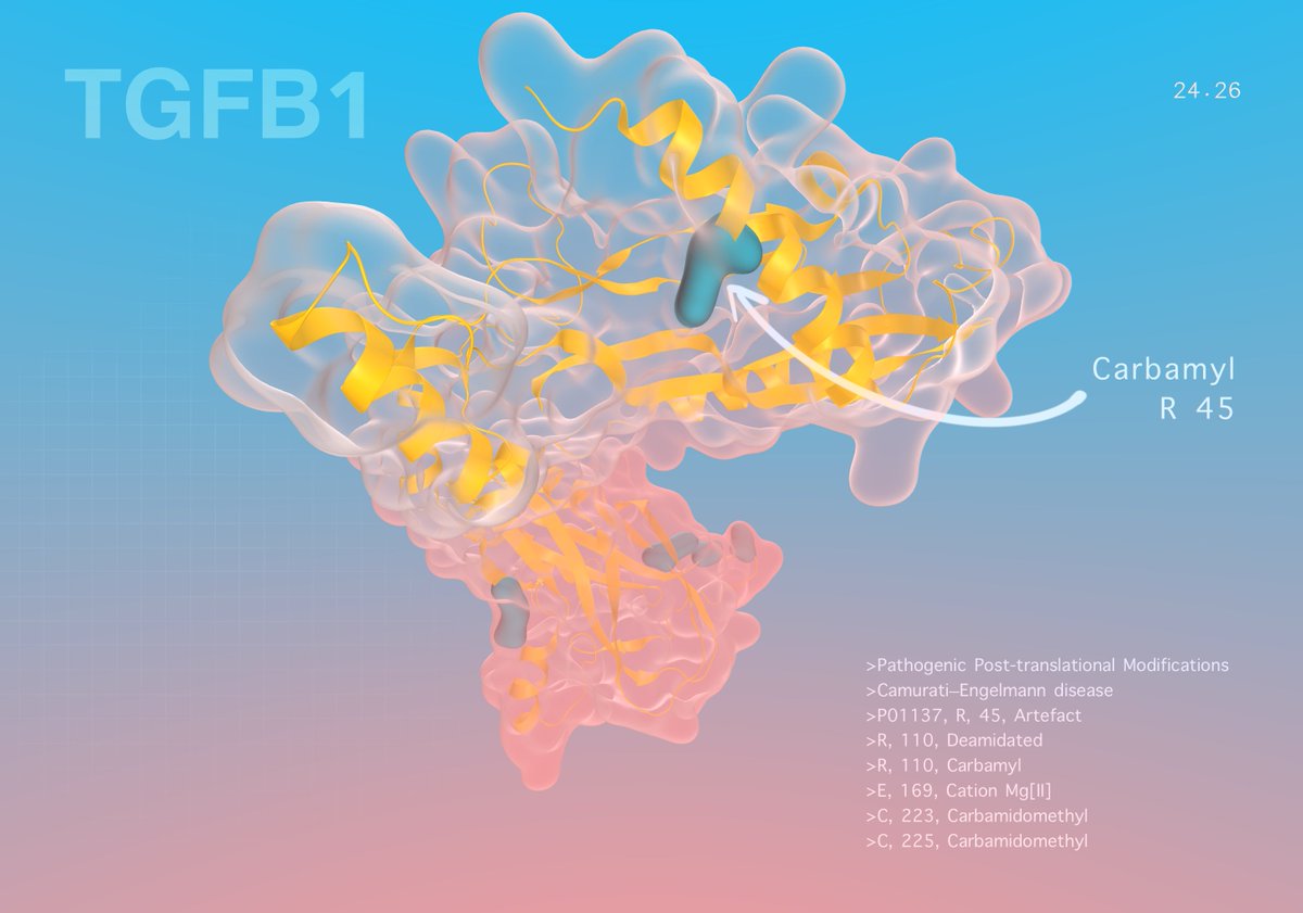 Here's a pretty figure from our <a href="/ieeevis/">IEEE VIS</a> talk for  <a href="/biovis_net/">BioVis</a> 2022 "Taming protein beasts". Excited to see what's in the plans for 2023!