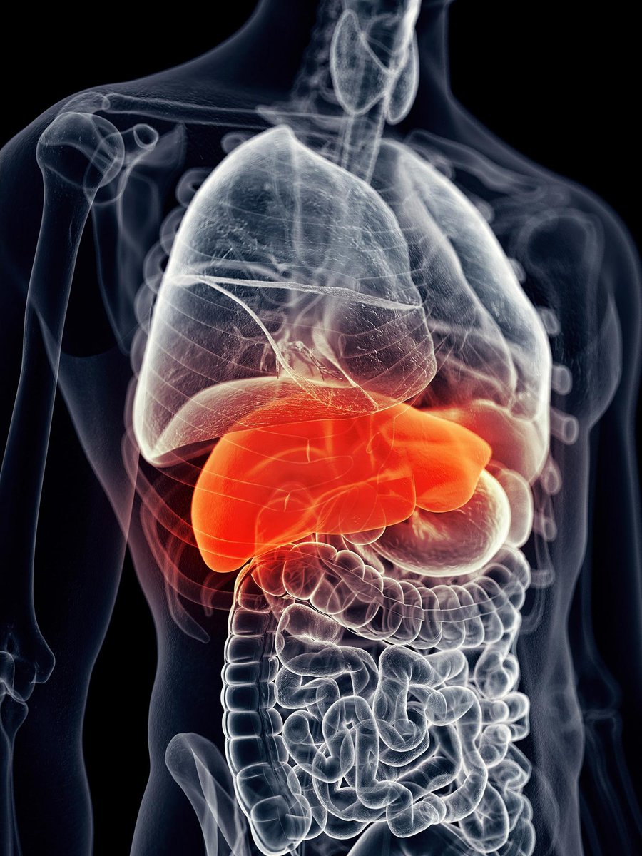 nanotrac's tweet image. Reversed With a Single Drug – “Incurable” Liver Disease May Be Curable dlvr.it/SjyBpX | @SciTechDaily1 #Incurable #LiverDisease #Treatment #SciTechDaily
