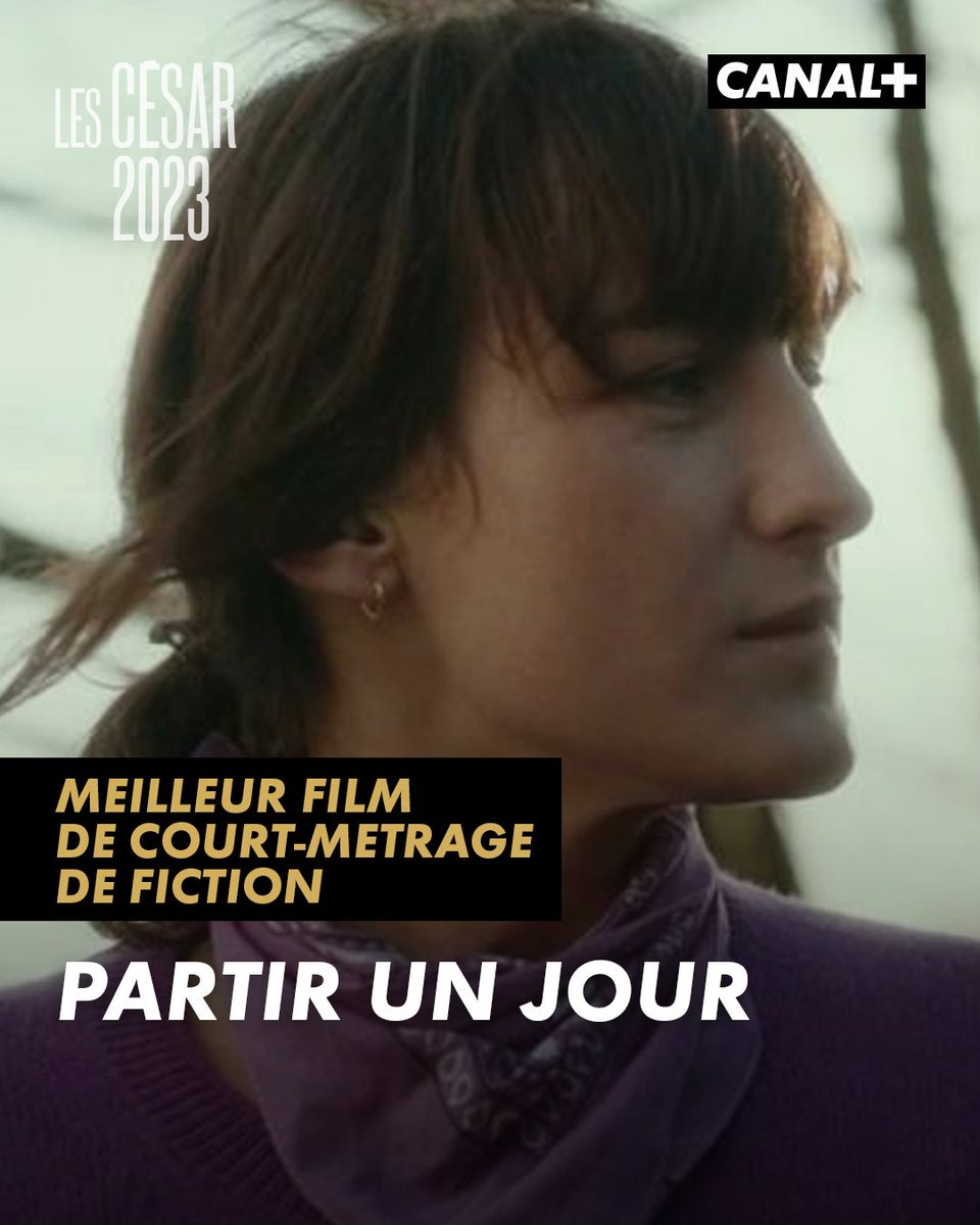 CANAL+ tweet media