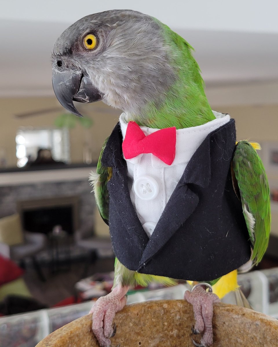 Everyone looking 🔥 in my feed today. Yeah... I'm feeling pretty 'fly' as well. 😎 #JimFanningFriday