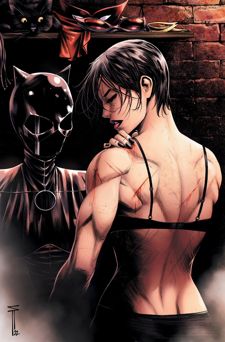 comfortGCS's tweet photo. — 'Catwoman #53' variant by Sergio Acuna https://t.co/vPIIjTEvvt