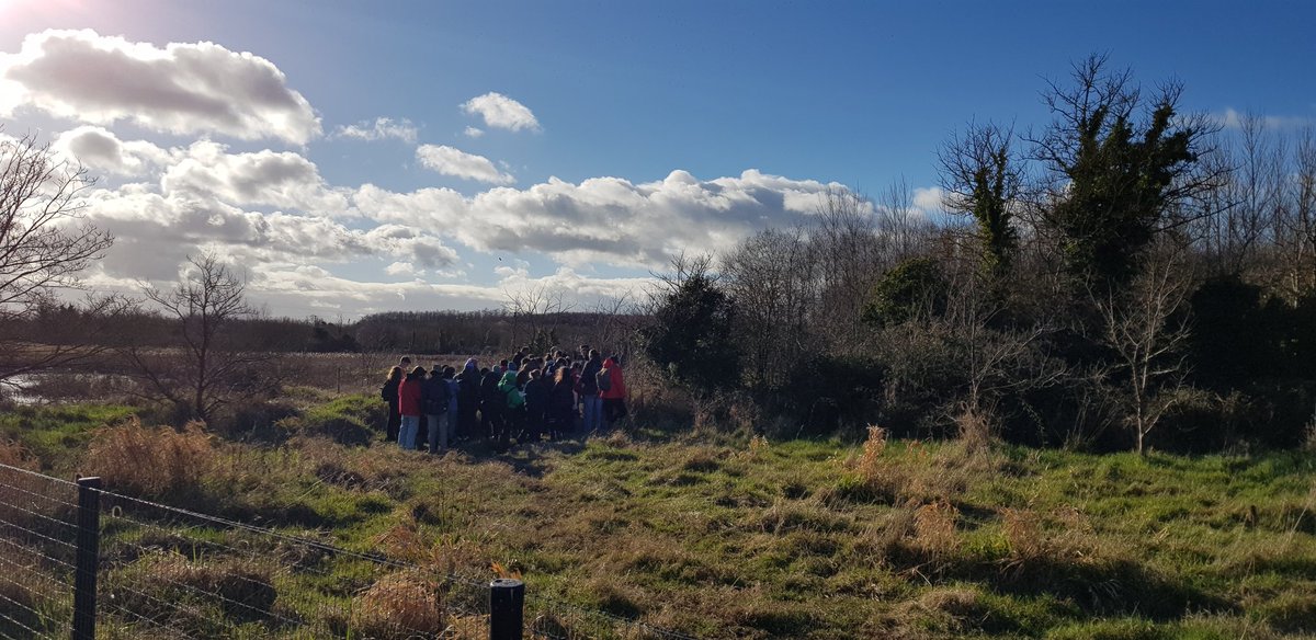 #FieldWorkFriday out at Turvey Nature Reserve with our @TCD_NatSci #coastalwetlands students and great talks by Hans Visser from Fingal Co Council on restoration of natural processes. Universities must continue to resource these experiences for students. There is no substitute!