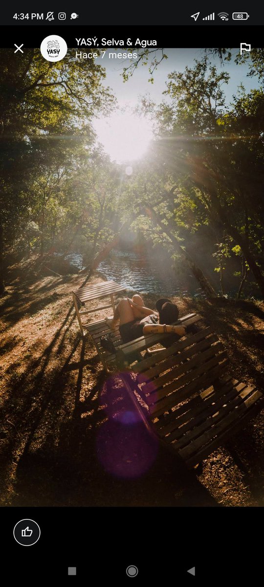 cuntde_'s tweet photo. Hoy paso a presentarles este lugar. "Yasý Selva y Agua" es un camping ubicado en Mártires, a las orillas del arroyo, sobre la RP 103, en Misiones. Es un emprendimiento familiar, el cuál una de sus premisas es el cuidado de la flora y fauna autóctona que es parte del lugar. https://t.co/lIzejUtERu